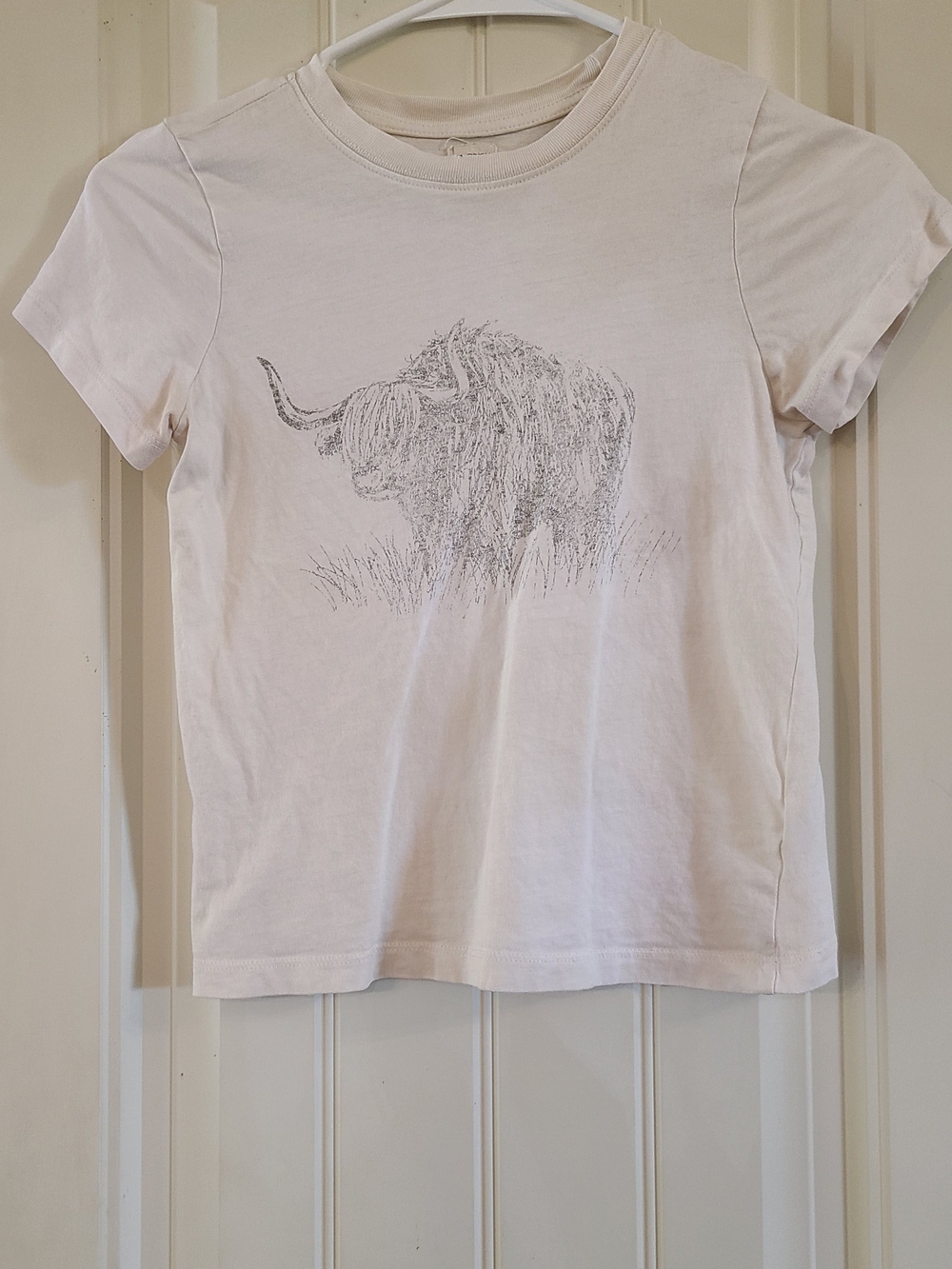 Modish Rebel Highland Cow Graphic Tee Size M